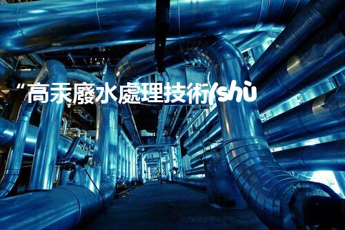 “高汞廢水處理技術(shù)，綠色環(huán)保新篇章”